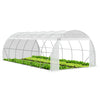Gewächshaus Foliengewächshaus, Seitenwände Aufrollbar, 6x3x2m 18m², Weiß - vuunot.com