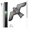 Vogelschreck Falke Drachen mit 4m Teleskopstange, Stil C - vuunot.com