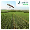 2er Set Vogelschreck Falke Drachen mit 4m Teleskopstange, Stil B&G - vuunot.com