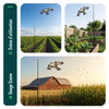 2er Set Vogelschreck Falke Drachen mit 4m Teleskopstange, Stil E&G - vuunot.com