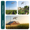 2er Set Vogelschreck Falke Drachen mit 4m Teleskopstange, Stil A&G - vuunot.com