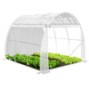 Gewächshaus Foliengewächshaus, Seitenwände Aufrollbar, 3x2x2m 6m², Weiß - vuunot.com