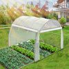 Gewächshaus Foliengewächshaus, Seitenwände Aufrollbar, 3x2x2m 6m², Weiß - vuunot.com