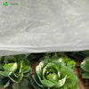 Gartenvlies Frostschutz mit 10 Erdanker, Frühbeetvlies Frostschutzvlies für Pflanzen, 50g/m², 1,5x10m - vuunot.com